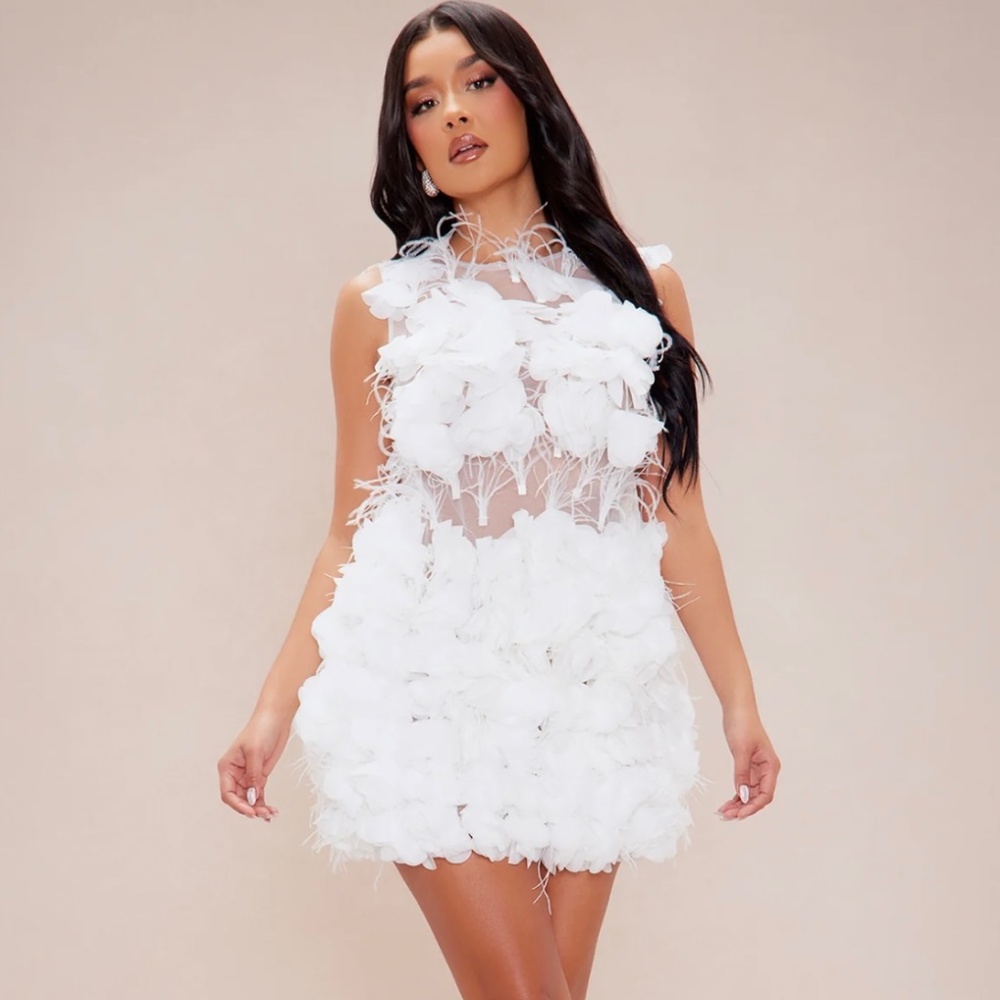 Harlow Embroidered Mesh Mini Dress - White